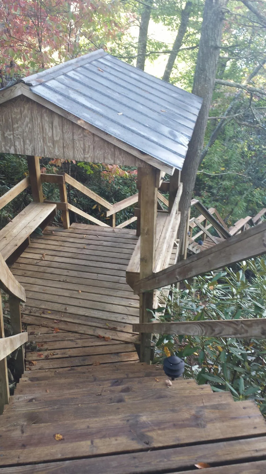 Metal roofed shelter over wooden steps on a wooded walkway — Skylight Repair & Installation work by our crew in Wiggins